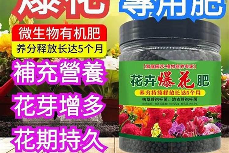 果树促花用什么叶面肥好？