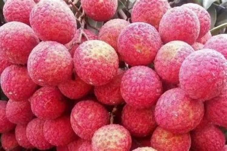 鱼蛋白肥料哪个品牌好