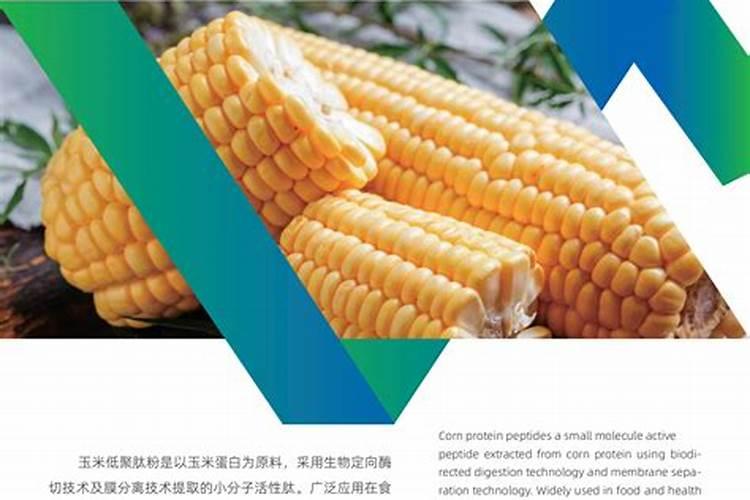海洋鱼低聚肽特点