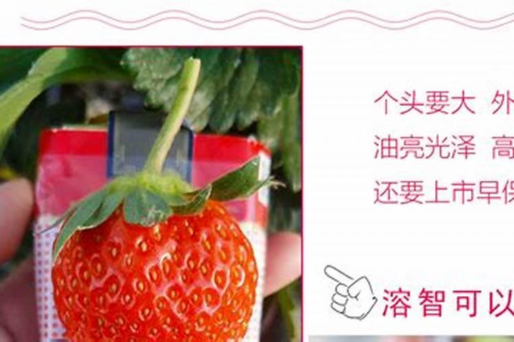 复合肥跟磷钾肥有什么区别