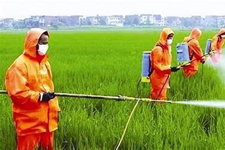 过量施肥的危害