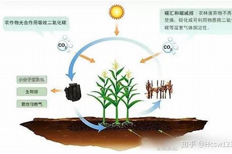 水稻肥料最佳配比