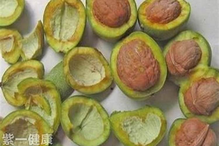 核桃那绿皮能不能给花当肥料