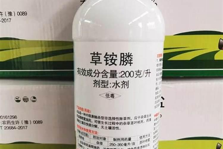青梗菜在市场上受欢迎吗？如何做好栽培管理呢？