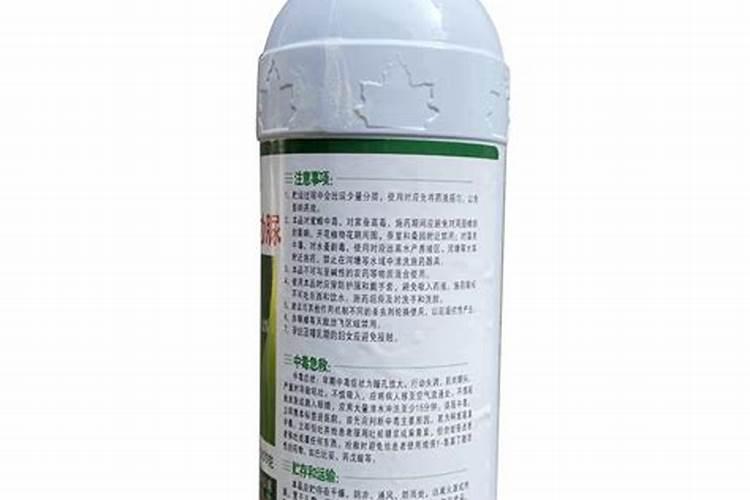 杨树腐烂病用什么药