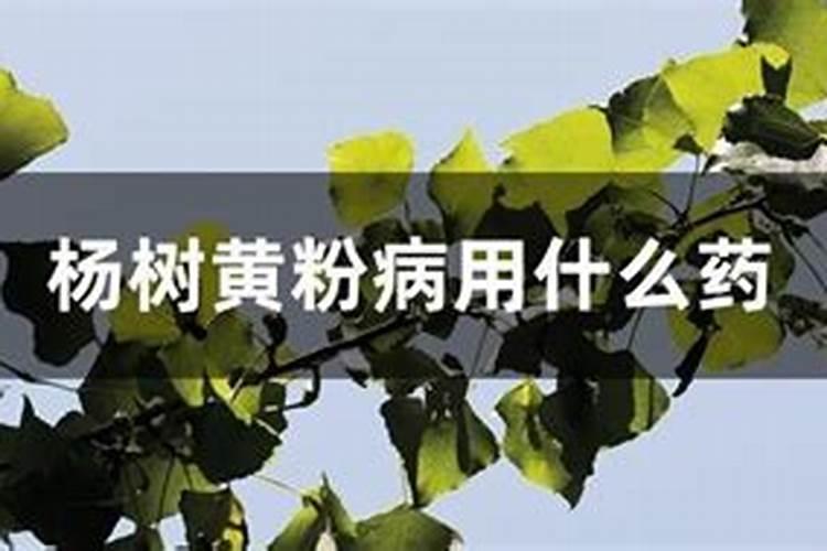 杨树病虫害防治技术与方法措施