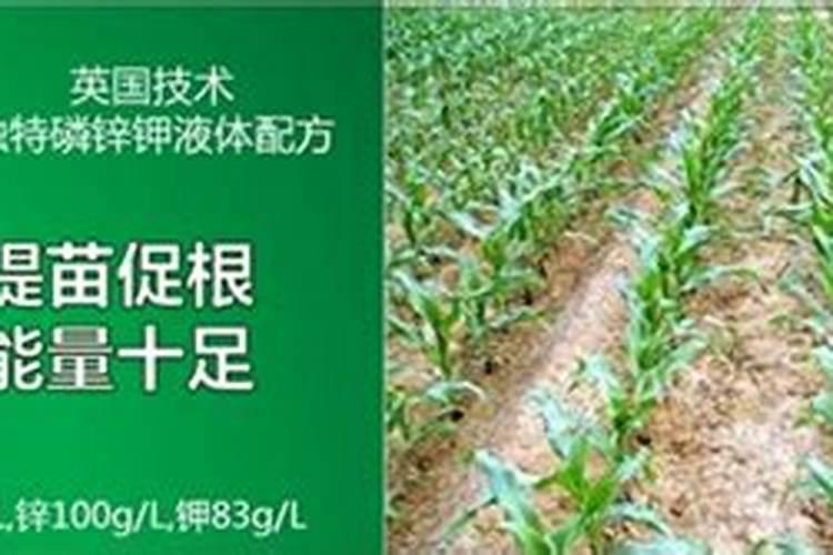锌肥不能和什么混用