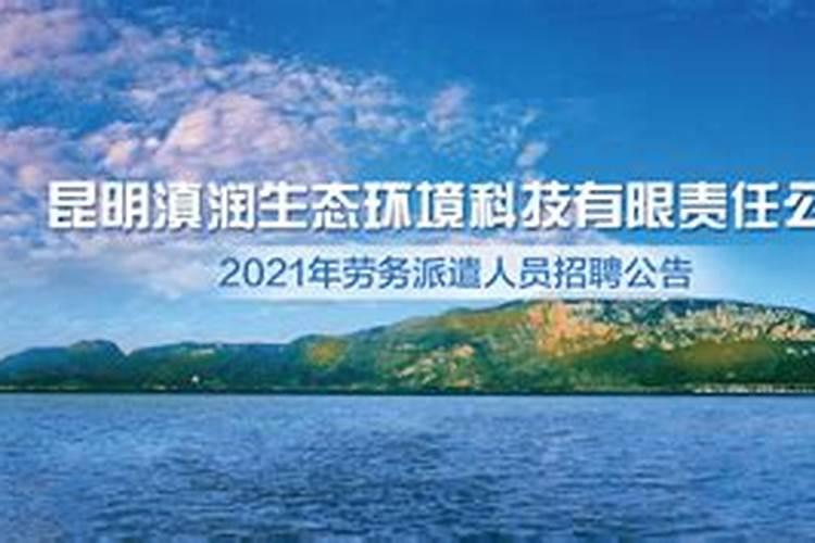 中药忍冬的功效与作用,忍冬是中药吗