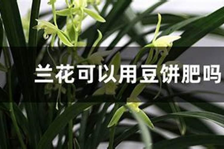 杨树用复合肥还是尿素好？