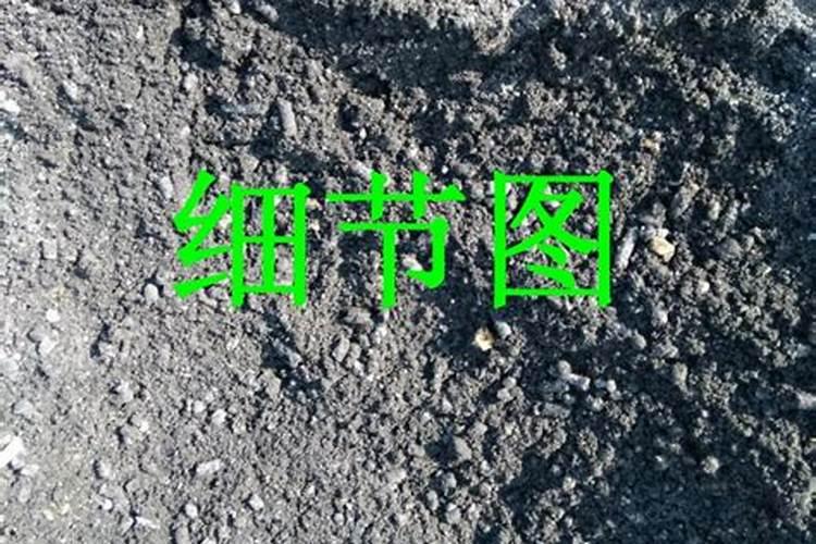 皇草栽培管理