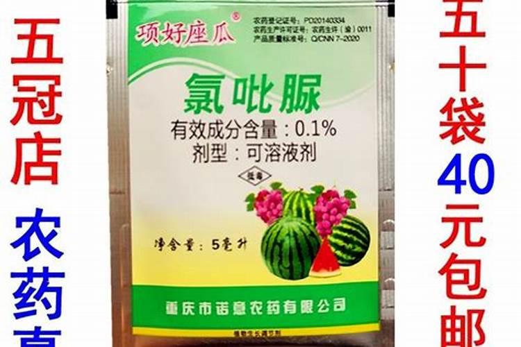 山东大蒜什么时候收获 几月份收获