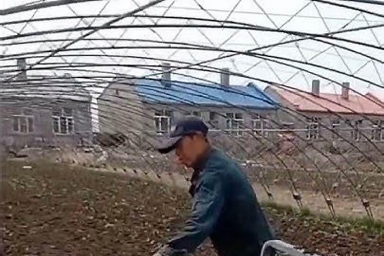 水藻的藻是什么意思？