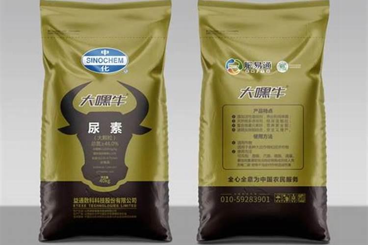 草莓开花后如何处理 草莓开花了要怎么管理