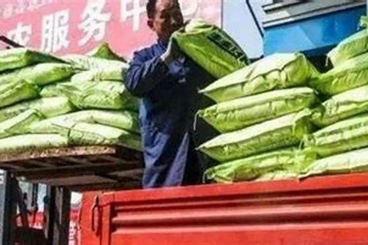种油菜一亩地要多少肥料