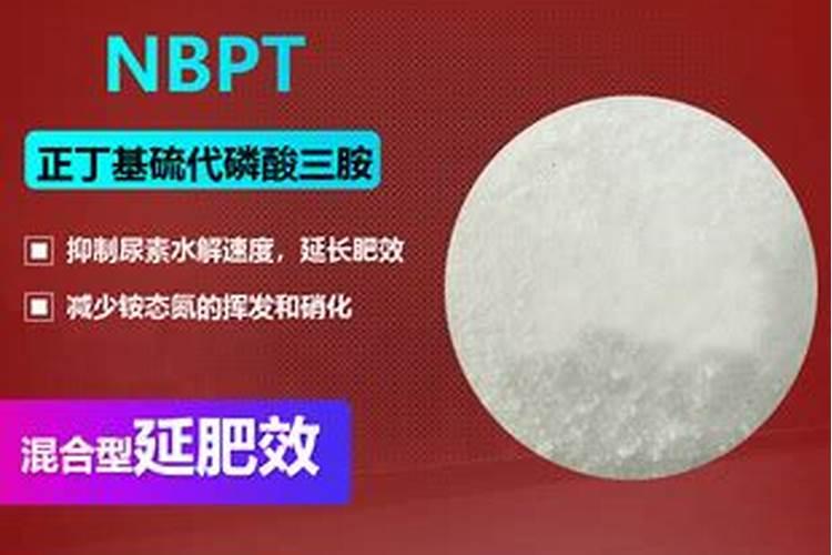 茉莉花用什么有机肥