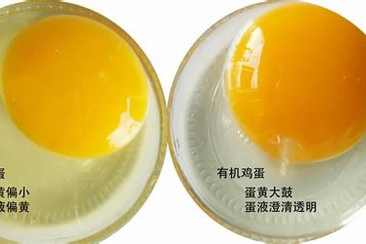 常被误认为是“野草”,殊不知是价值珍贵的“四叶参”,好好珍惜