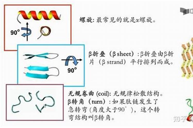 月季花施肥施什么肥料
