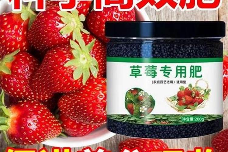 采摘一千克草莓需要补充多少氮肥钾肥磷肥？请赐教,谢谢