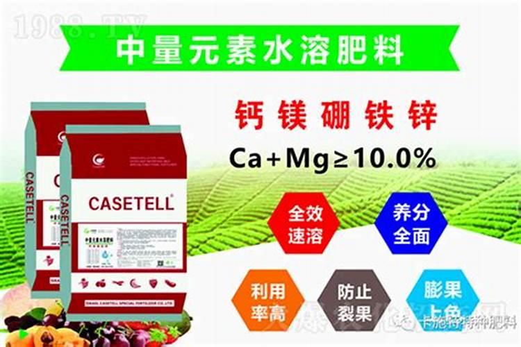 以色列进口水溶肥有哪些品牌,巴格尔水溶肥怎么样？