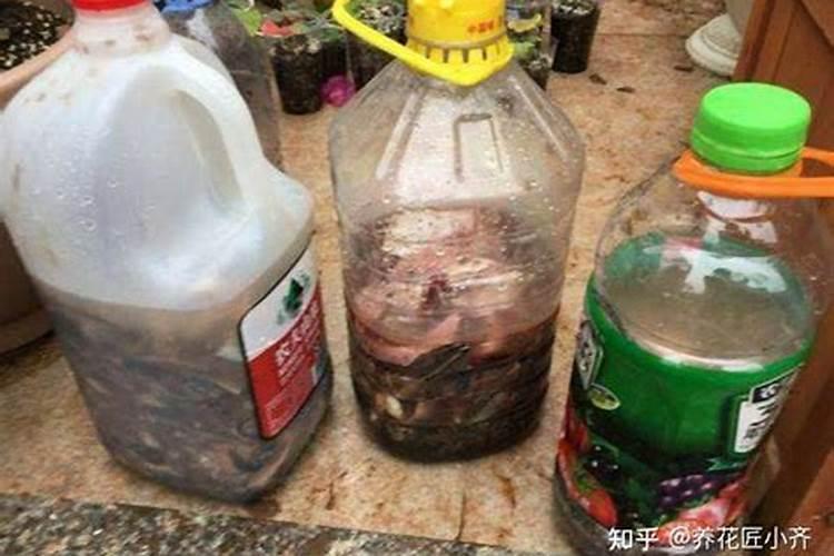 化肥在哪个网站买