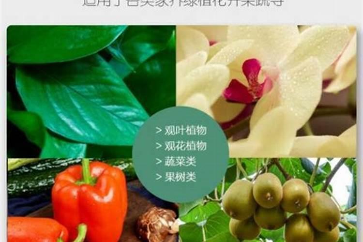 什么肥料种花好;果树施什么肥料最好