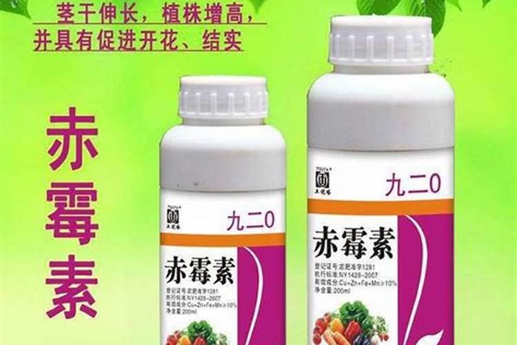 八角树施什么肥料挂果多