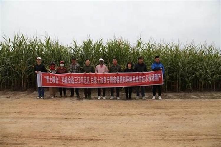 中国名牌肥料免检都是有哪 些