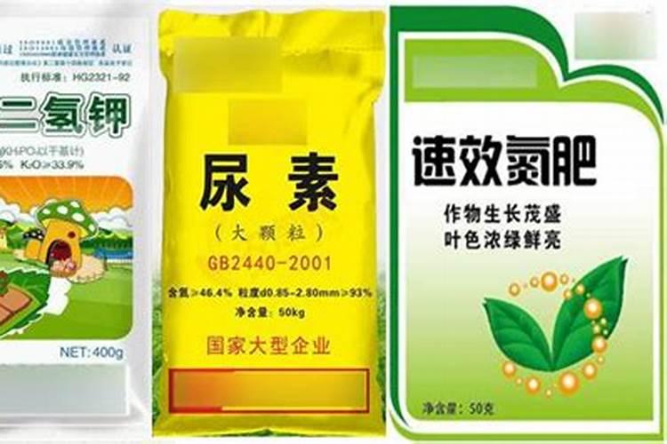 多肉植物可以施氮肥吗 多肉植物能施氮肥吗