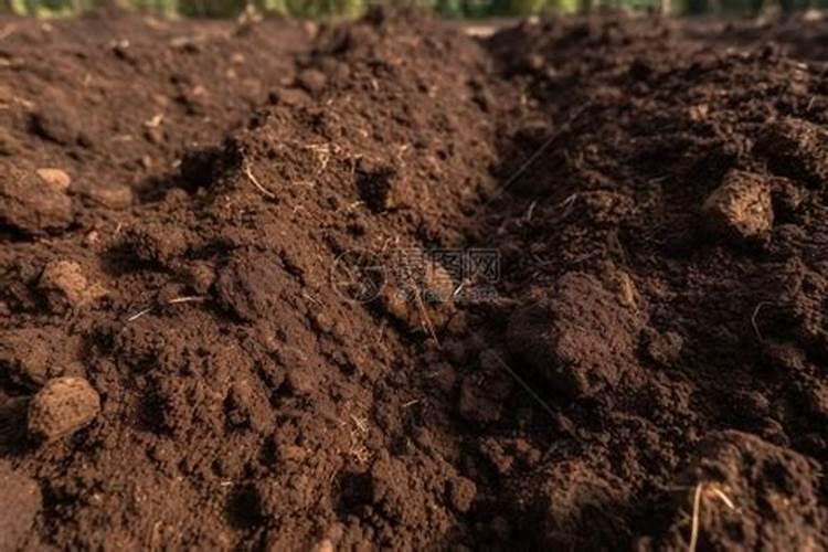 什么才是好肥料,什么才是你最需要的一款肥料。上桥生物带了解百度知 ...