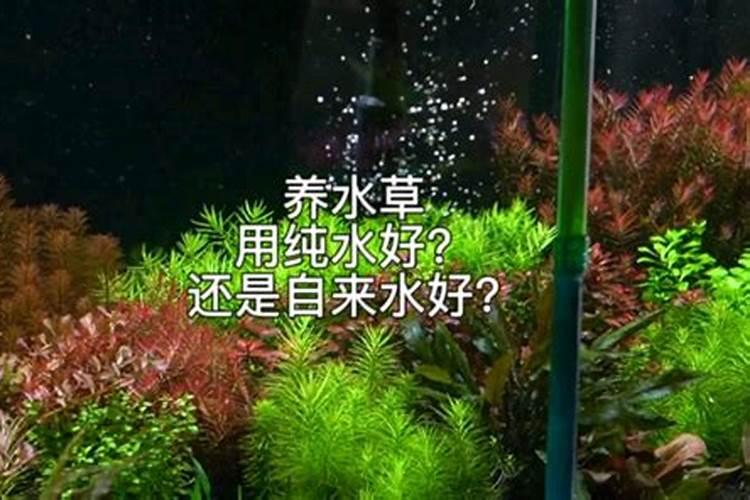 钙肥的作用及施用方法