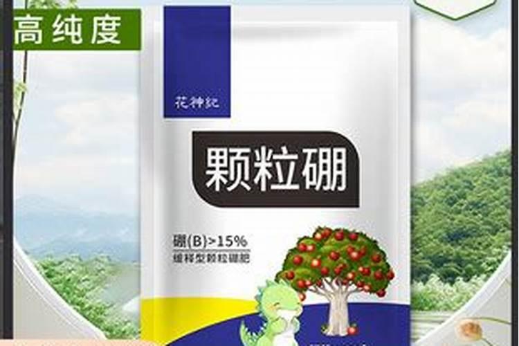 长势比较弱的的甜瓜,需要怎么样去处理？