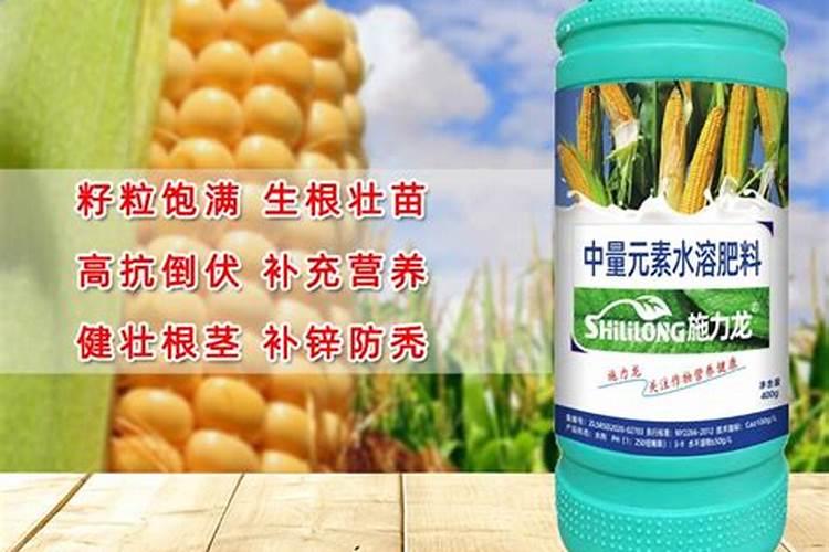 柚子树叶片出现黄化的原因？
