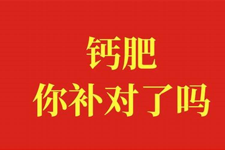 西葫芦的需肥特点和施肥原则是什么