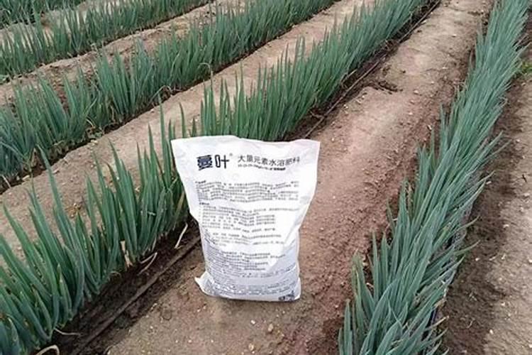 果树开花用什么药能杀虫保果