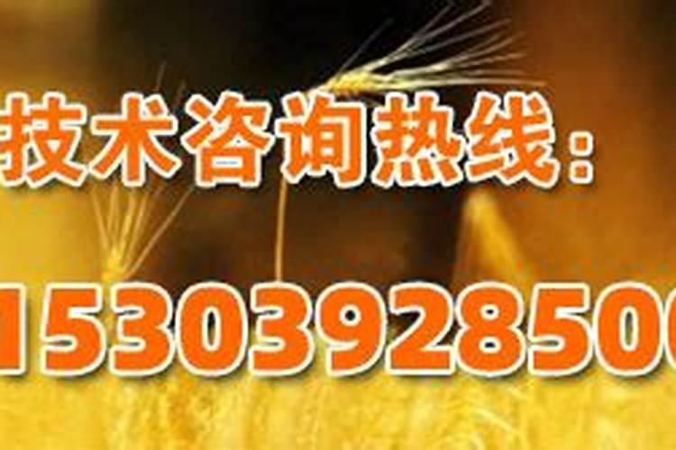 烟草专用肥溶化后,存放久了会失效吗？