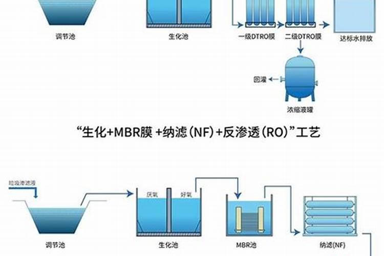 缓效肥料与控释肥料的区别