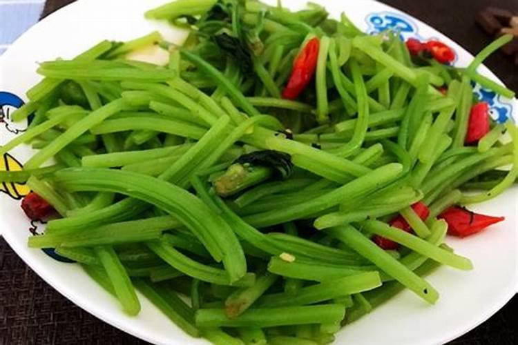麒麟掌怎么浇水