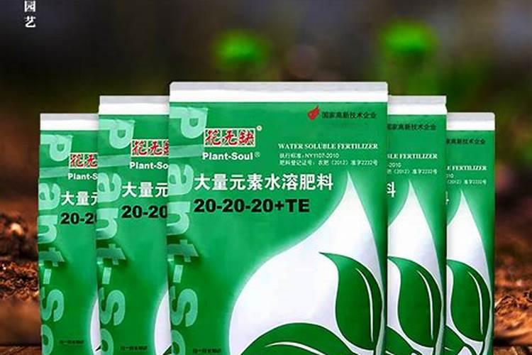 多肉施肥用什么肥料