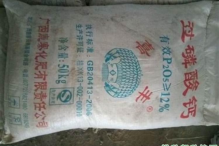 磷肥有几种哪种最好