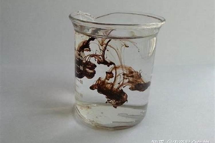 杨梅树施什么肥最好