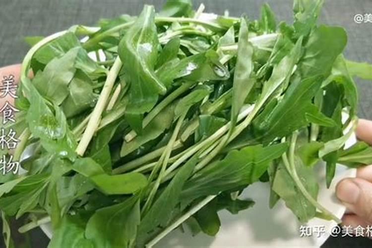 香葱和大葱之间有什么区别