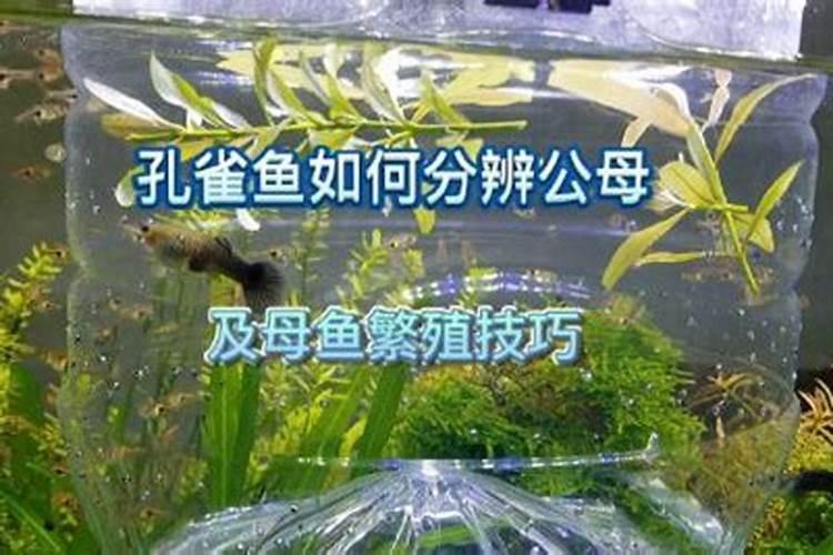 磷粉碰到什么东西自燃