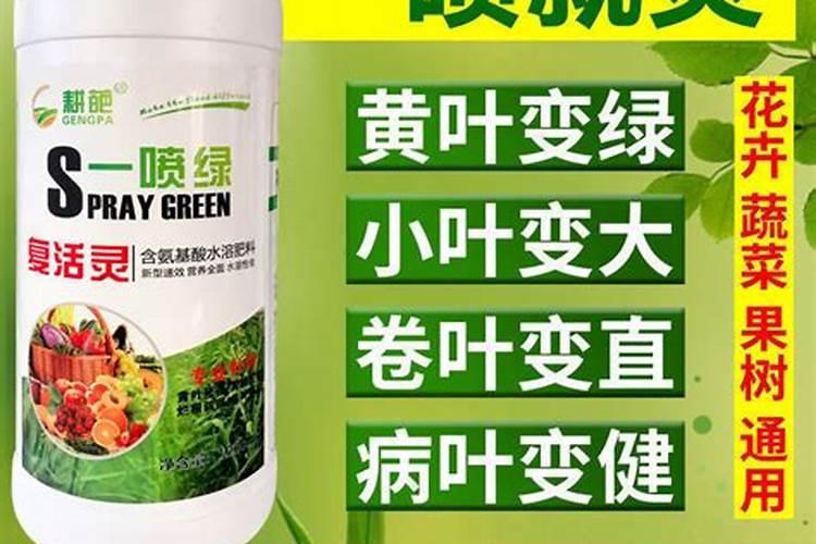大量元素水溶肥料和含氨基酸水溶肥拌种