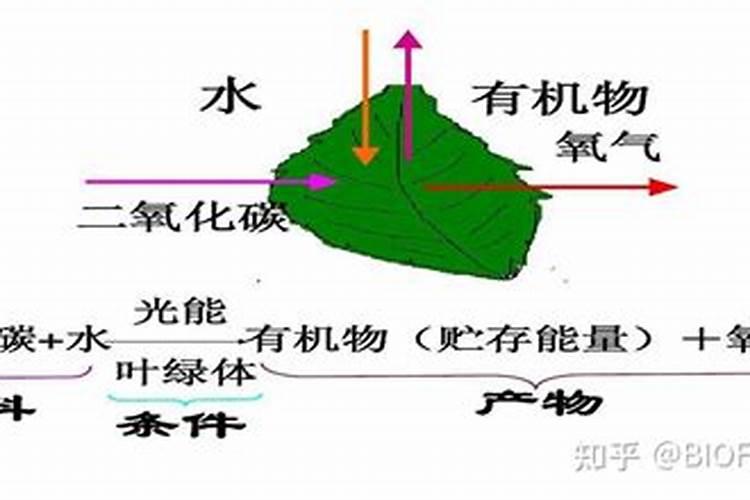 如何使用钾肥？