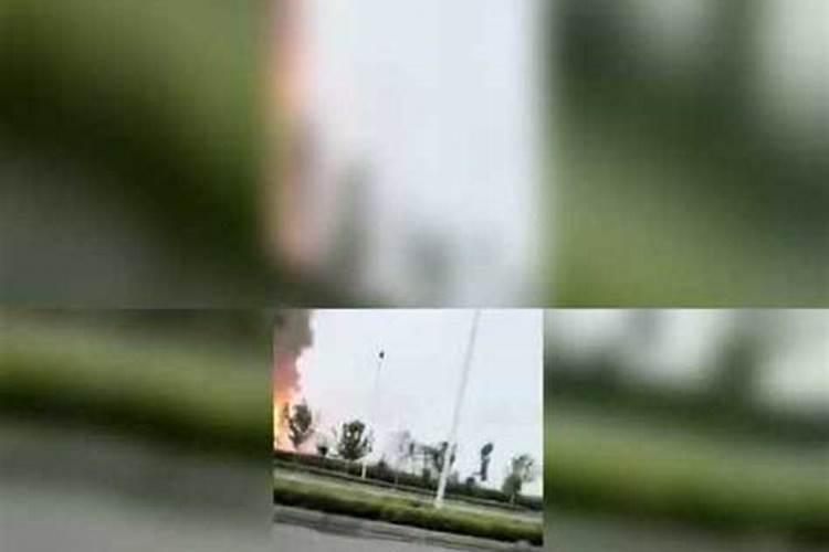 柠檬树移栽多久生根 柠檬换盆多久生根发芽