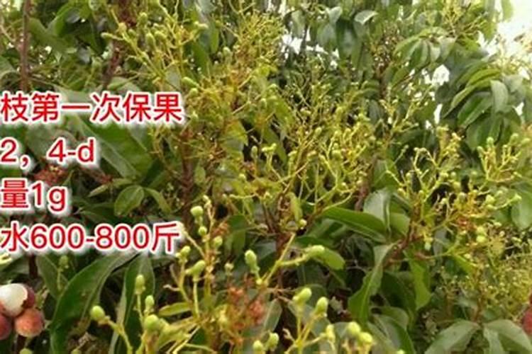 氮磷钾复合肥是什么样的