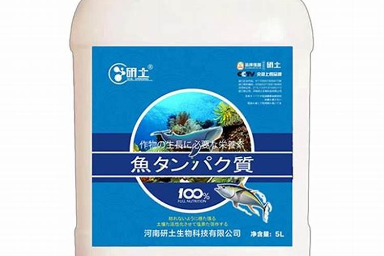 济南哪个花卉市场批发便宜实惠