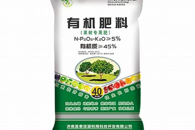 杨梅树施什么肥最好