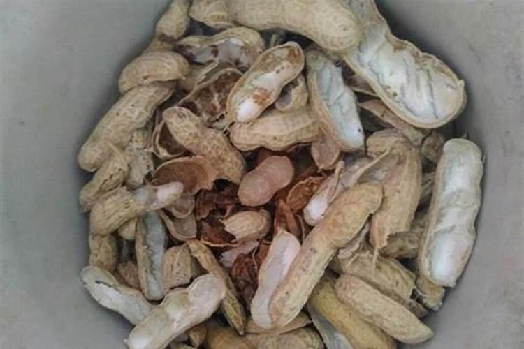 花生壳怎么做肥料种花 花生壳腐熟是发霉吗