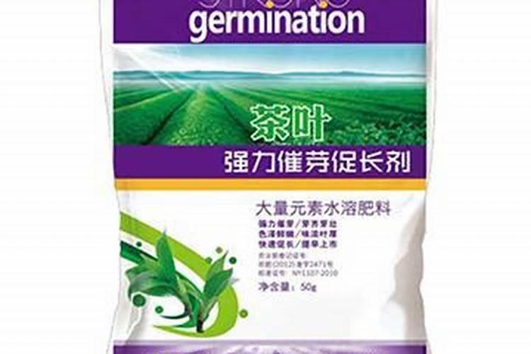 叶片增大增厚的叶面肥有哪些